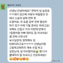 궁내초 앞 | 산본 수리초 궁내초 5, 6학년 중등 문법 대비반