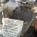 연의양과 이미지