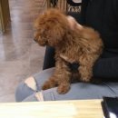 개편한카페 이미지