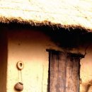 몽실이네 이미지