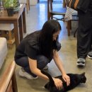 지혜허브나라