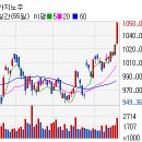 (주)마제스타 마제스타카지노 이미지