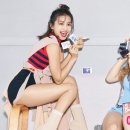 보라 이미지