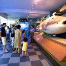 땅끝해양자연사박물관 이미지