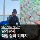 캡틴푸드 | 발리여행 이색체험 추천! 발리낚시 업체 이용 후기와 당일 일정 총정리