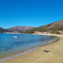 거제비타민씨 이미지