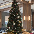 양산제로 | 고창 웰파크호텔 웨딩 결혼식 후기 / 워크인웨딩도 문제없어요!