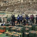 안동농협농산물공판장 | 안동농협 농산물공판장 `3600억 금자탑`