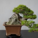 목우원농장 이미지