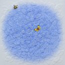 목포 삼목회-청주 자연미술협회 교류전 | 서순례 초대展