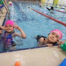 조이풀수영장 아름점 이미지