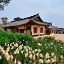 예산군대흥보건지소 이미지