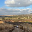 폭포공원앞 골목 자영유치원 옆 | 지구랑 제주도 여행 🧡
