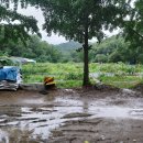 근자농장 이미지