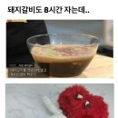 서판교로44번길 이미지