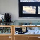 감람농장 이미지