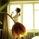 캘리그라피(자격증) 이미지