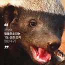 스타벅스 앞 이미지