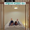 씨유 제주봉성점 | 제주 애견동반 숙소 10만원대 독채 애월 오제 마당도 있음!