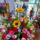 도원농원 이미지