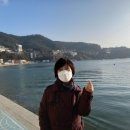 덕포 펭귄 이미지