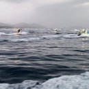 동해시-50 이미지