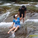 철정농장 | 7월 21일(토) 백우산산행 후 계곡에서 물장구치기 후기