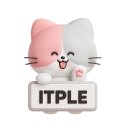 마이크로비트와 엔트리 인공지능 | <SW AI를 위한 마이크로비트 with MakeCode(교재+키트)>를 소개합니다:)