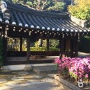 흙토담골 이미지