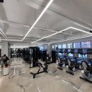 스파르타짐 나성점 이미지