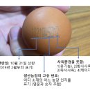 우리계란마트 이미지