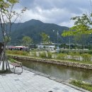 청춘역1979 공원 앞 네이버블로그