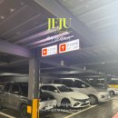 SK렌트카 | 제주 여행 렌트카 추천 sk렌트카 예약방법 이용후기