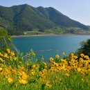 하도 해변 이미지