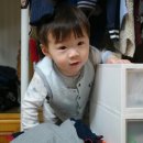 일꾸미 네이버블로그