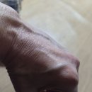 수훈