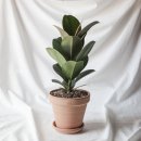 정화Care 이미지