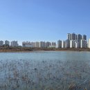 만성수변공원 이미지