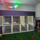 덕분이야모든개 이미지