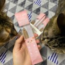 큐덴탈 | 덴코큐 :: 낚시놀이 하면서 급여할 수 있는 고양이껌 헤어볼까지 잡은 뉴트리오 덴코큐 연어맛