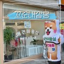 한마음 애견용품 | 파주애견미용 꼬순내살롱 스피츠 가위컷 만족 후기