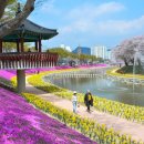 양지천2 이미지