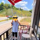 다정축산 이미지