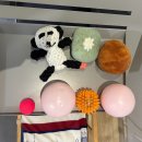 엔젤펜션 | [제주 애견동반 숙소 추천] 공항 근처 감성 펜션 ‘엔젤하우스’ 솔직 후기 🐾 (위치·시설·서비스 총정리)