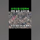 한국인들 단합력에 깜짝 놀란 외국인들 이미지