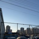 테니스파크 | 대전 실내 테니스장 층고 걱정 없는 단독 코트 도안 라이언 테니스파크 코트 후기