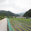 잠곡 3리 이미지