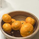 협재둥지 | [제주도 에어비앤비 숙소추천] 20개월 아기랑 함께한 여행 ! 제주 협재둥지 &#39;노랑&#39;