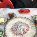 금강마리나(주) | 속초 현지인 횟집 추천 아바이활어회센터 복용호 강추 (ft. 포차 감성)