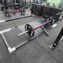 소녀스트렝스 이미지